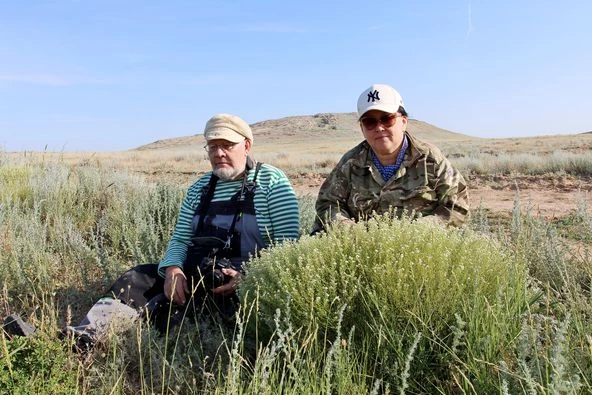 В Атырауской области обнаружили неизвестный науке вид растений